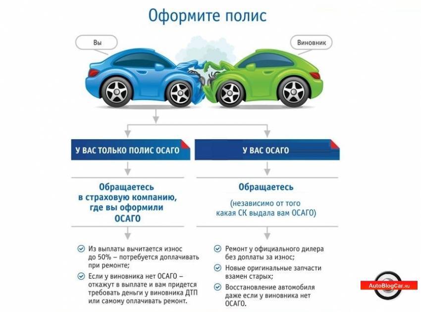 Что такое каско и осаго: все нюансы, отличия и особенности
