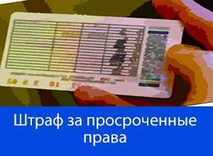 Забыл права дома, какой штраф? Что будет в 2022 году