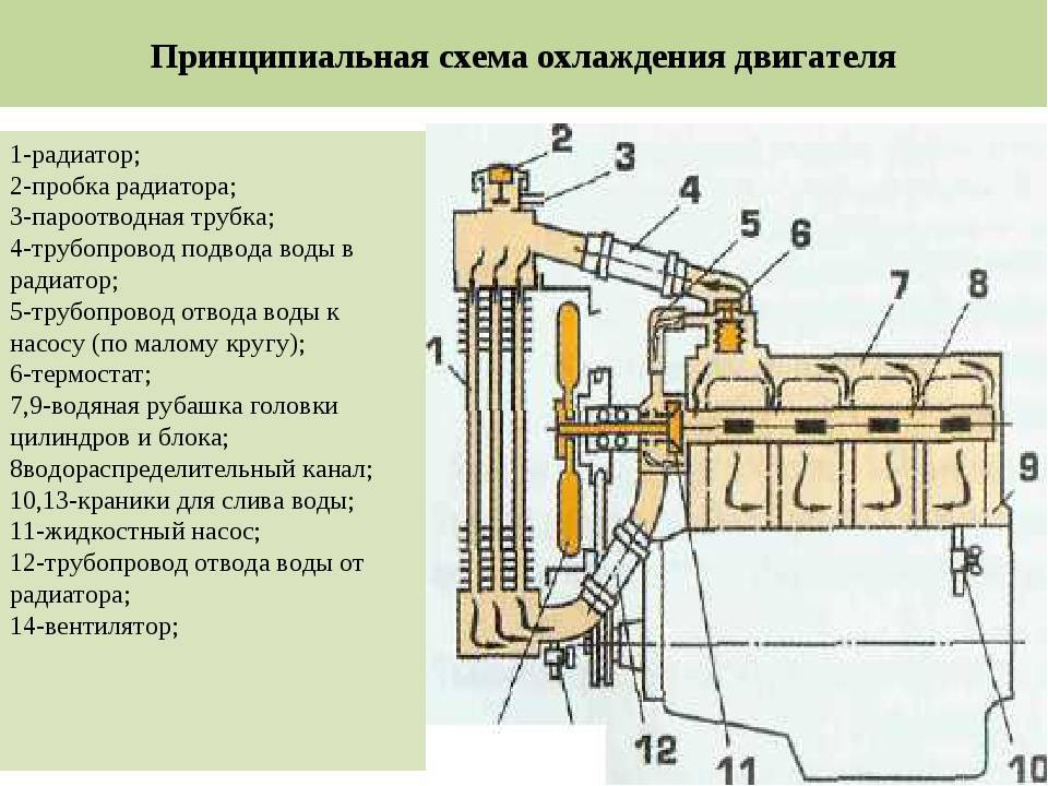 Принцип работы системы охлаждения двигателя